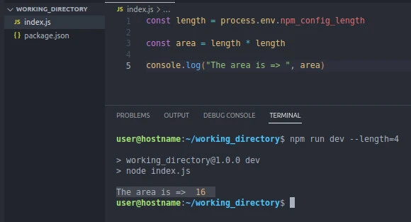 How to pass arguments to npm script