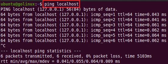 ping command to check local network