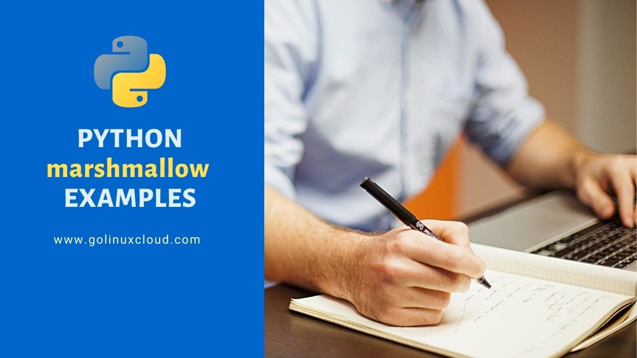 The Perfect Python Marshmallow Tutorial: [Complete Guide]