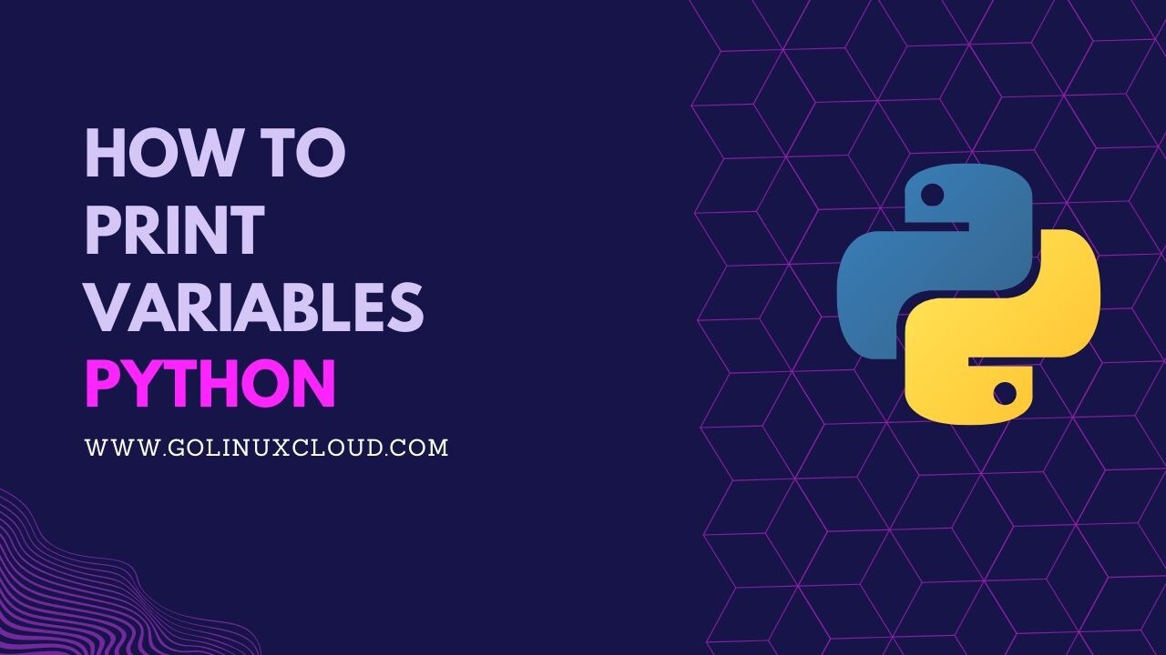 Print variable in Python like a PRO [7 Methods]