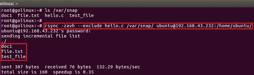rsync command to exclude file
