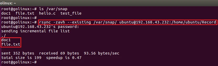 rsync command to skip syncing existing file