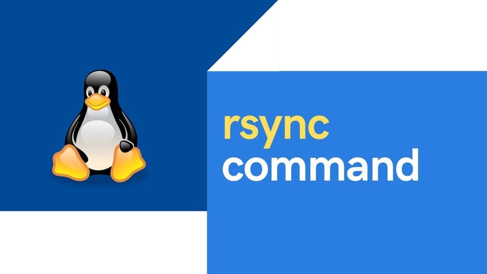 20+ rsync command examples in Linux [Cheat Sheet]
