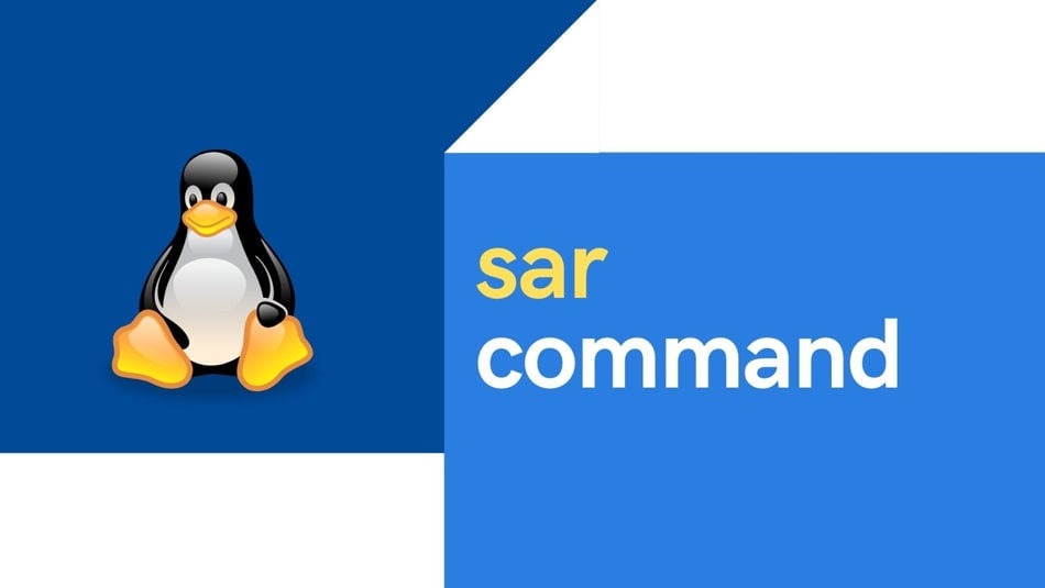 20 sar command examples in Linux [Cheat Sheet]