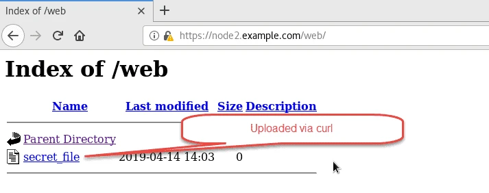 Securely transfer files between two hosts using HTTPS in Linux