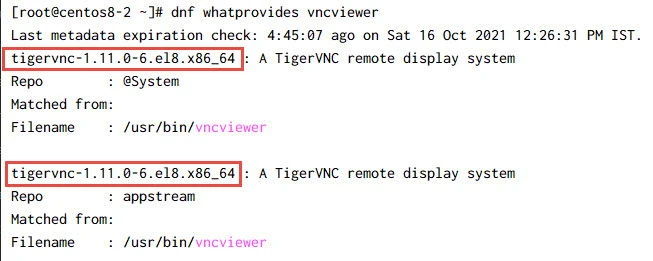 Tutorial: Setup VNC Server CentOS 8 [Step-by-Step]