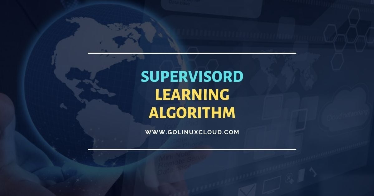 Supervised Learning Algorithms Explained [Beginners Guide]