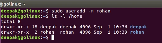 useradd command to add new user and user home directory