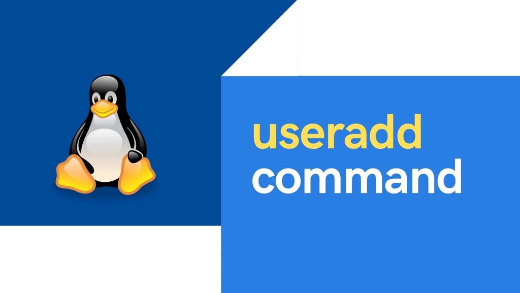 15 useradd command examples in Linux [Cheat Sheet]