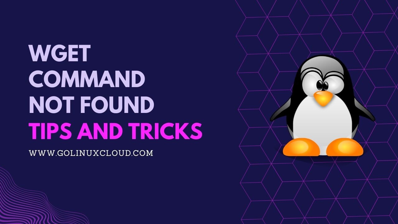 wget command not found [SOLVED]