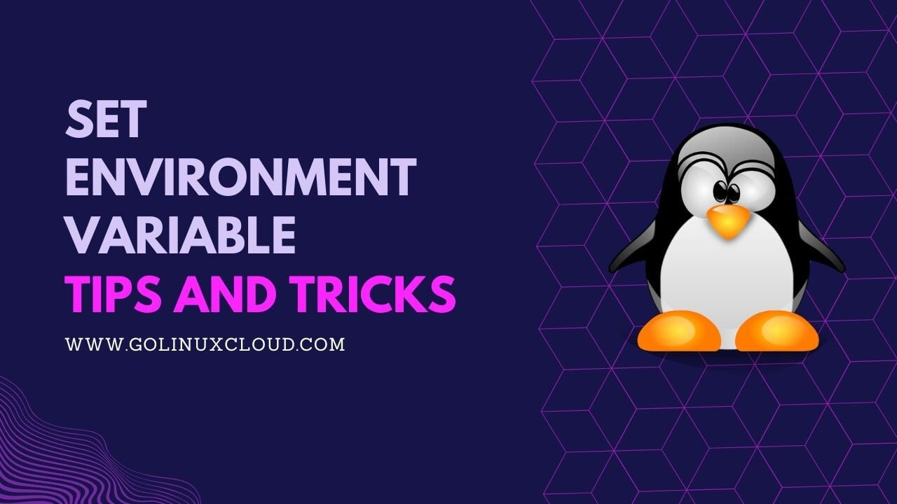Where to set environment variables in Linux? [SOLVED]